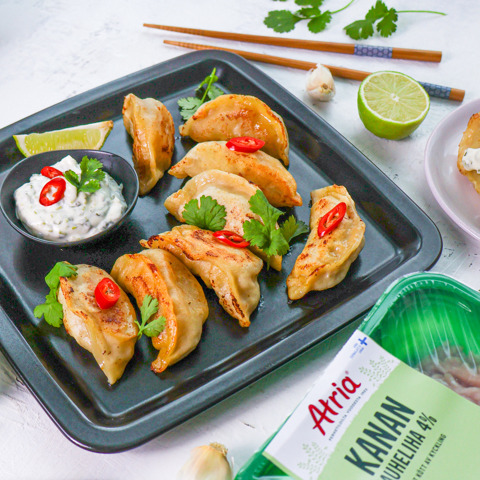 1347_dumplings_sivusta_1_1.jpg